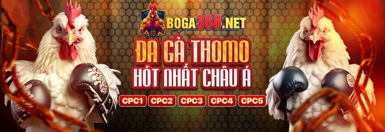 Các Môn Thể Thao Phổ Biến tại ju88 bet
